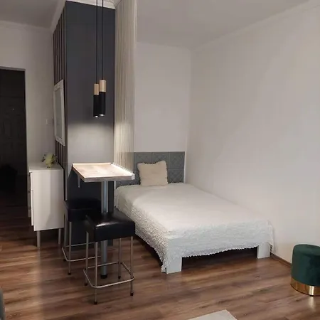 In The Center Of Debrecen! Apartment Debrecen